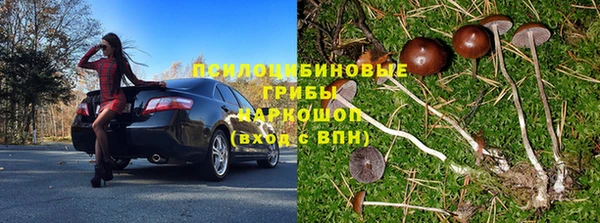 2c-b Белокуриха